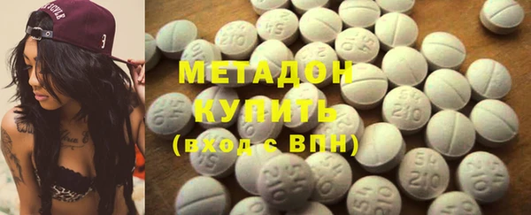прущие грибы Пестово