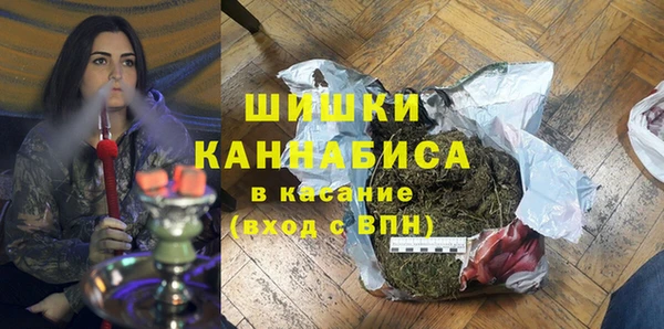 прущие грибы Пестово