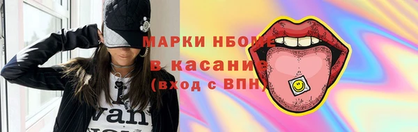 прущие грибы Пестово