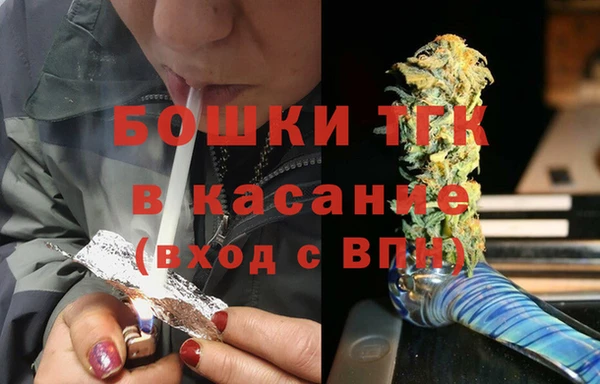 прущие грибы Пестово