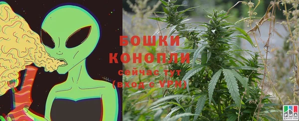 прущие грибы Пестово